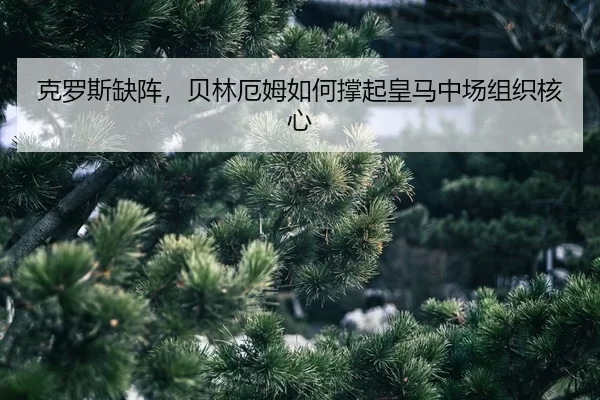 ke-luo-si-que-zhen-bei-lin-e-mu-ru-he-cheng-qi-huang-ma-zhong-chang-zu-zhi-he-xin-2-820.jpg